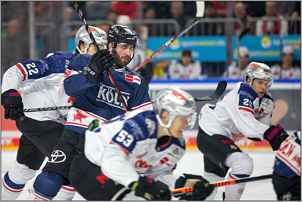 PENNY DEL; Koelner Haie- Nuernberger Ice Tigers; Koeln, 29.01.2023
